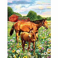 Paint by Numbers Junior- Horse in Field