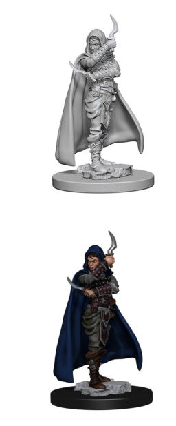 PF Unpainted Miniatures Wave 1: Human Female Rogue