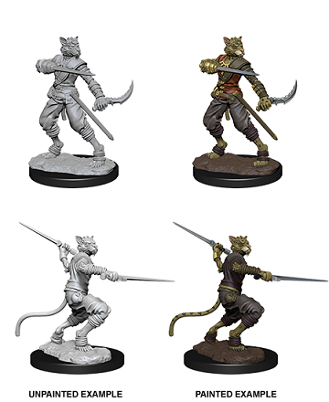 D&D Unpainted Minis: Wave 7: Male Tabaxi Rogues