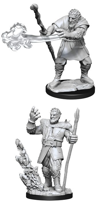 D&D Unpainted Minis: Wave 9: Male Firbolg Druid