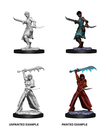 D&D Unpainted Minis: Wave 10: Female Human Rogue