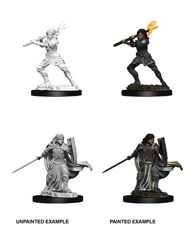 D&D Unpainted Minis: Wave 10: Female Human Paladin