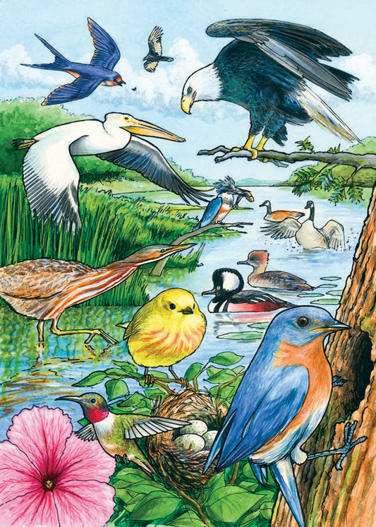 North American Birds- Tray puzzle