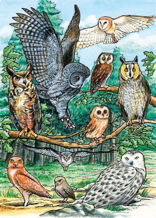 North American Owls- Tray puzzle