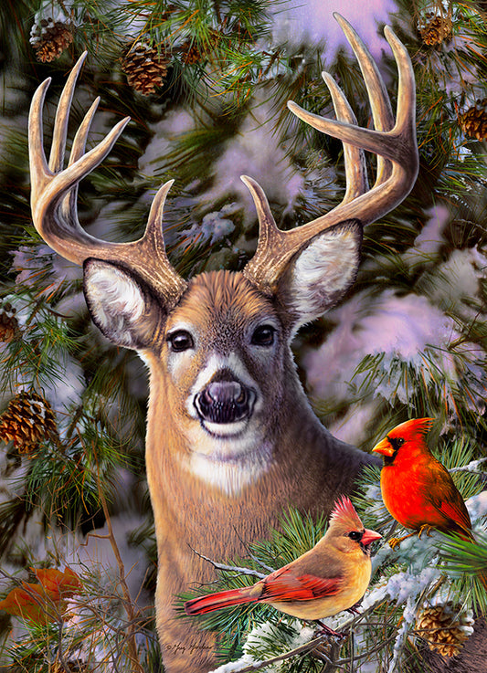 One Deer two Cardinals